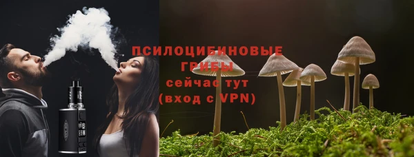 PSILOCYBIN Елизово