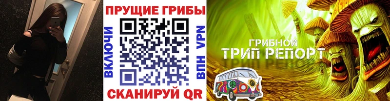 Купить закладки  Котельниково  Псилоцибиновые грибы ЛСД 