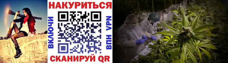 Бошки марихуана Amnesia  Купить где  Котельниково 